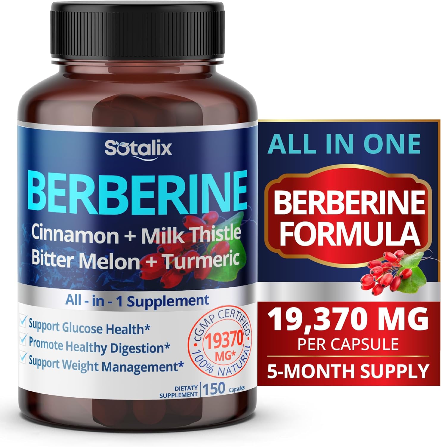 Premium Berberine 19,370mg plus Ceylon Cinnamon, Bitter Melon, Milk Thistle - Supports Immune System, Heart  Gastrointestinal Wellness - 150-day supply (150 count (pack of 1))